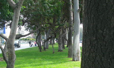 URBANAS