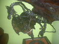 dragón