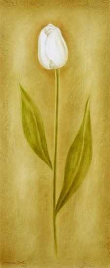 Tulipa blanca. Pastel Paper Floral Painting