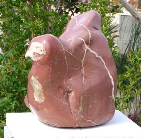Gallina Clueca  -...