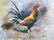 Gallo peru