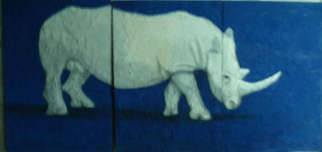Rinoceronte Blanco