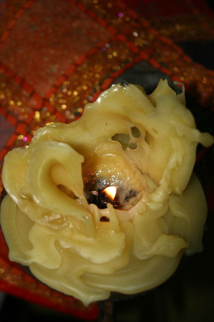 Rosa de fuego