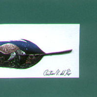 obra