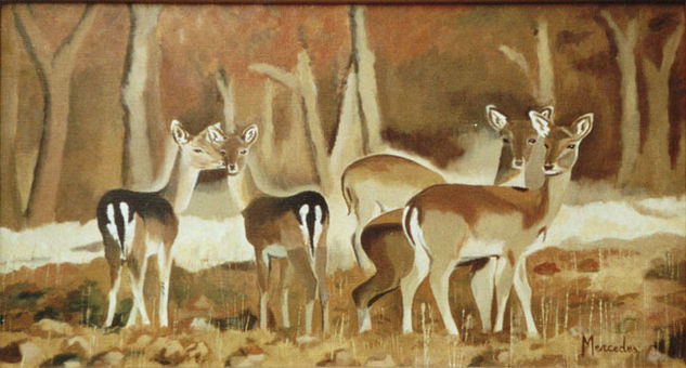 Cervatillos Oil Canvas Animals