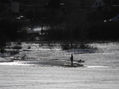 pesca