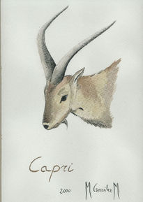 Capricornio