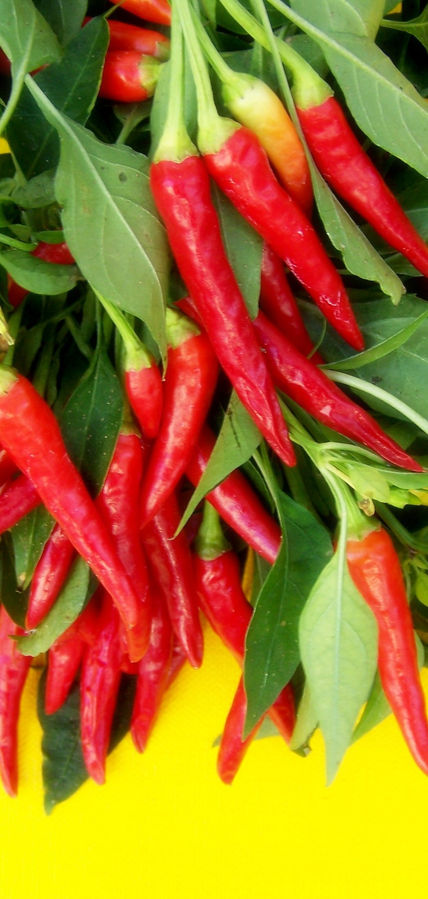 Chiles