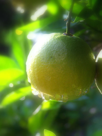 Naranja