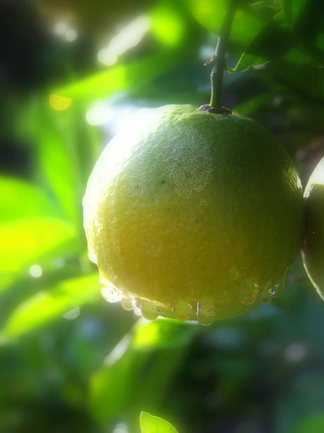 Naranja