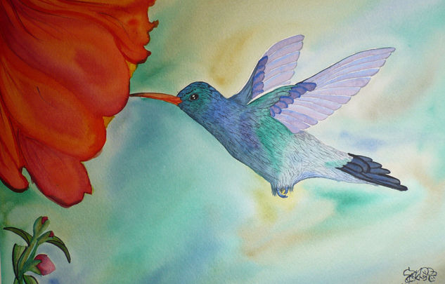 Colibrí Watercolour Paper Animals