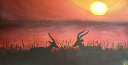 Sol de África