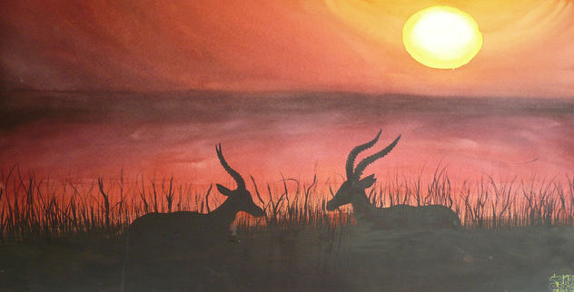 Sol de África