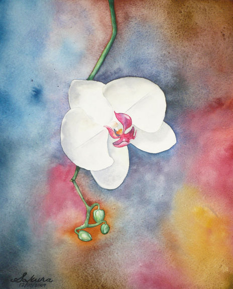 Orquídea 1