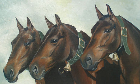 " Mis caballos"