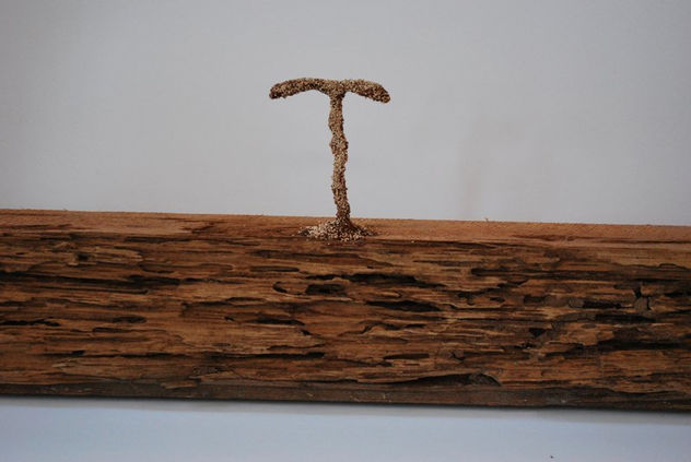 RETOÑO (detail)