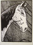 CABALLO