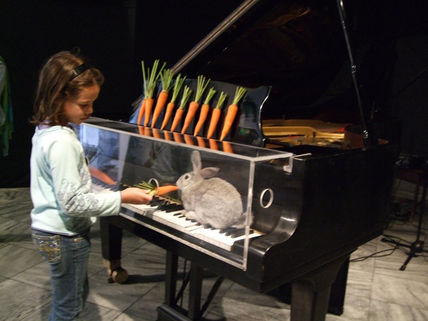 Stomach concert