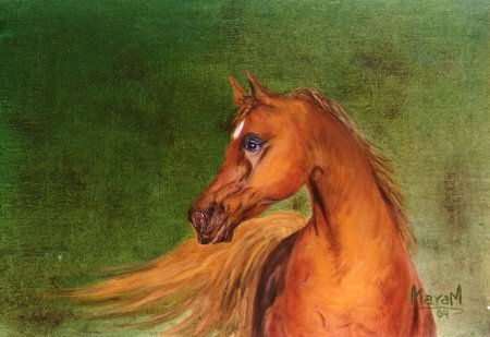 ARABE ALAZAN Oil Canvas Animals