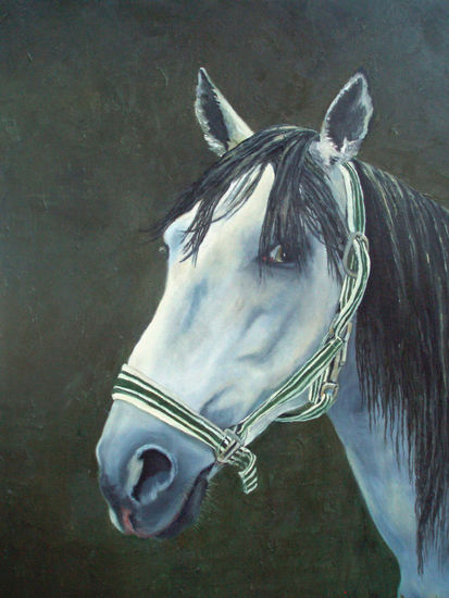 RETRATO DE CRUZADO Oil Canvas Animals