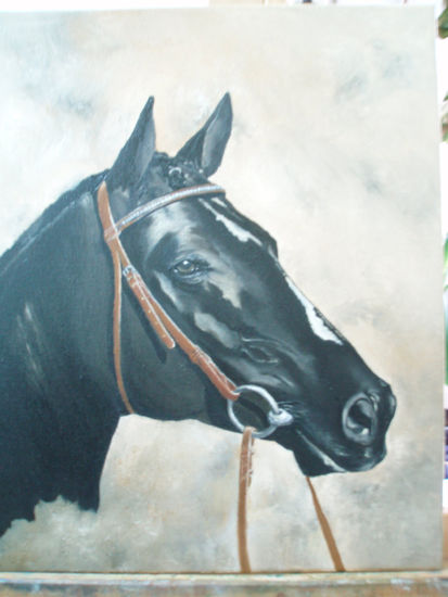 RETRATO  DE NEGRO Oil Canvas Animals