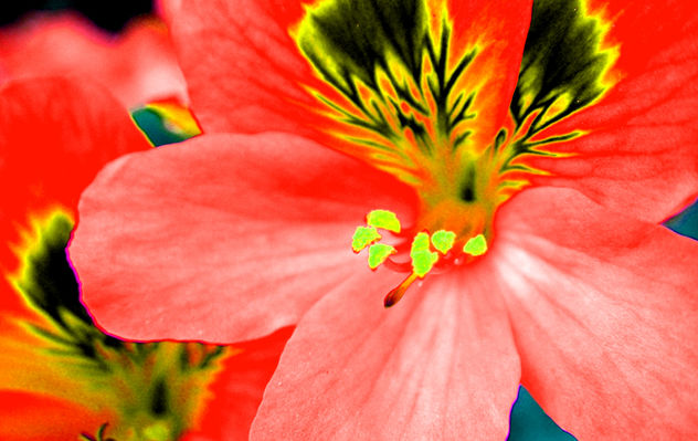 colores