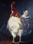"GALLO MORADO"