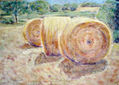 bales de palla 2