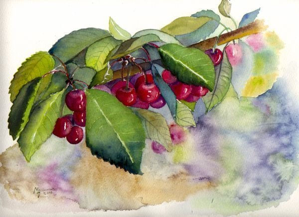 Temporada de cerezas Watercolour Paper Landscaping