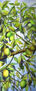 Limonero