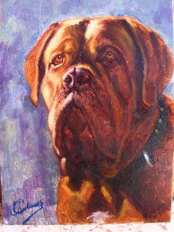 Mi perro