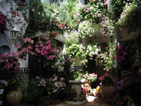 Patio de Córdoba