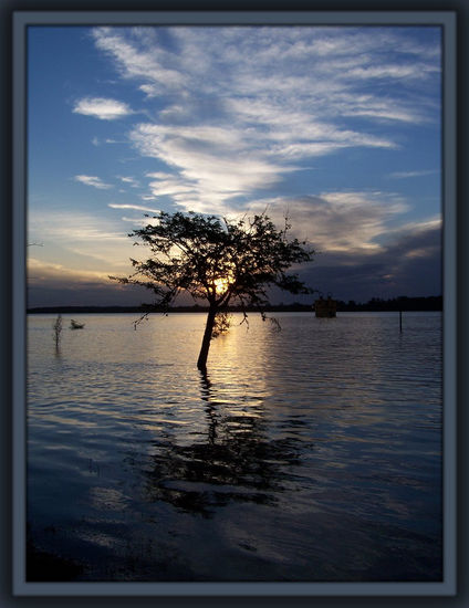 Atardecer bajo agua Nature Color (Digital)