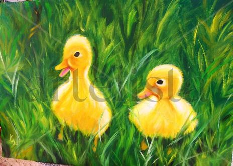 Patitos... Anecs