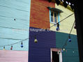 Colores Boca