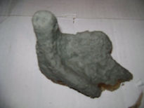 Tolteca 1