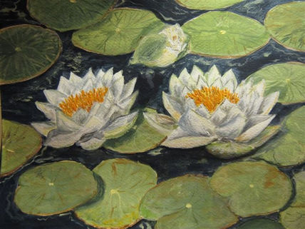 Nenufares ii