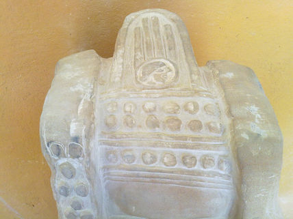 Dama de carvula