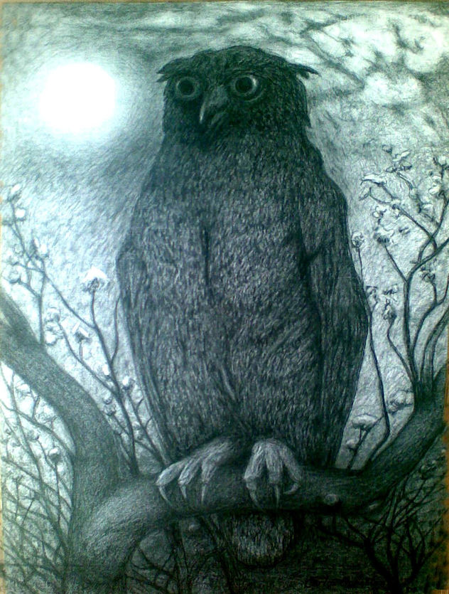 Búho en Blanco y Negro.