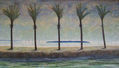 5 Palmeras de Playa Lúces.