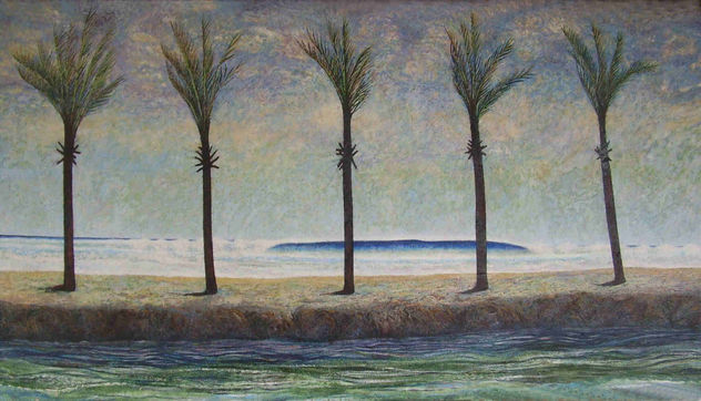 5 Palmeras de Playa Lúces.