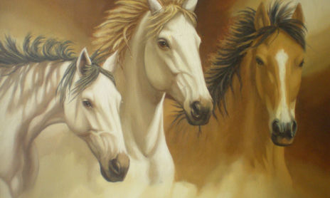 caballos