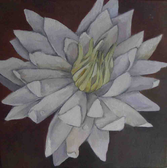 flor de nenúfar Oil Canvas