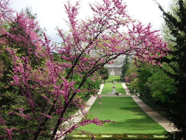 Palacio Real de Madrid 1