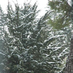 Invierno thumbnail 1