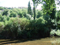 Rio Eresma 1. Segovia