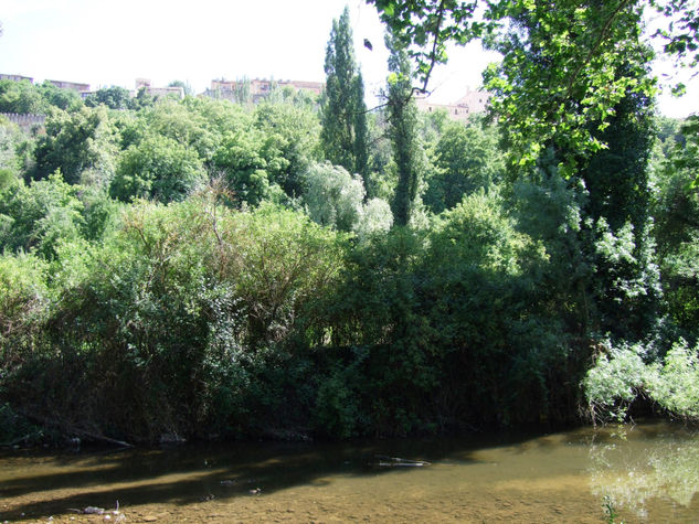 Rio Eresma 1. Segovia 