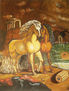 Cavalos