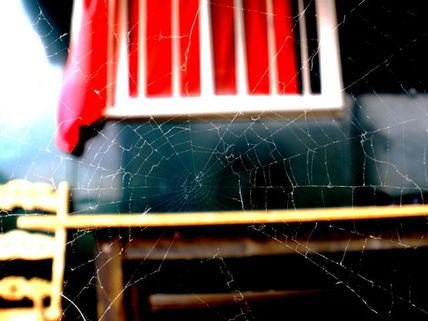 El juego de la araña