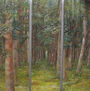 Bosque Encantado